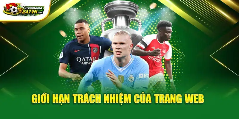 Giới hạn trách nhiệm của trang web